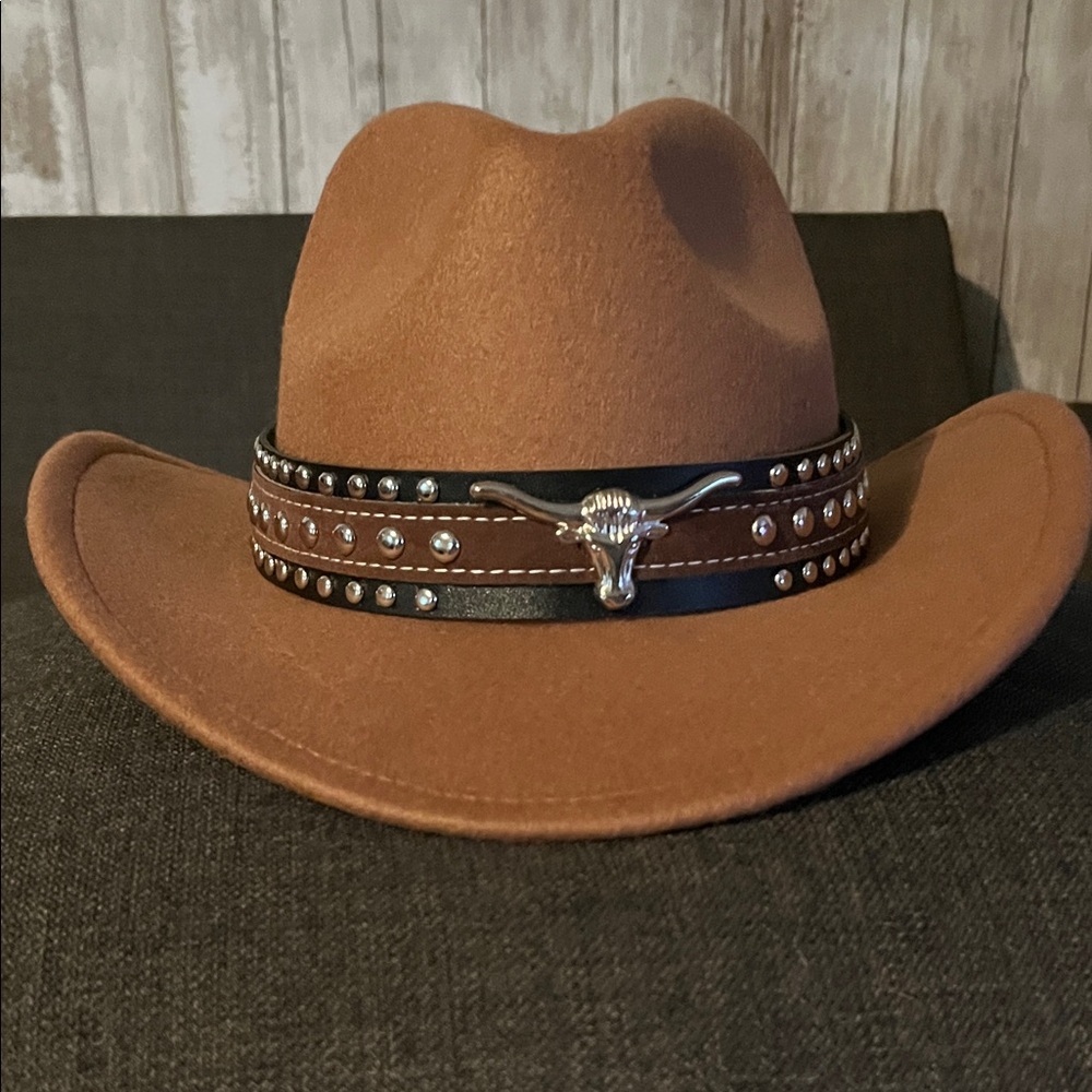 Brown Western Hat with Longhorn Hat Band
